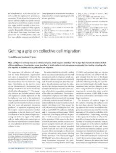 ncb3447-Getting a grip on collective cell migration