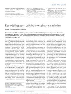 ncb3449-Remodelling germ cells by intercellular cannibalism