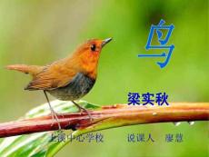 鳥(niǎo)說(shuō)課課件-_圖文