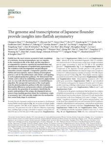 ng.3732-The genome and transcriptome of Japanese flounder provide insights into flatfish asymmetry