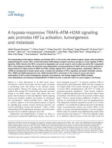 ncb3445-A hypoxia-responsive TRAF6–ATM–H2AX signalling axis promotes HIF1α activation, tumorigenesis and metastasis