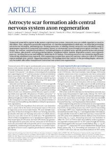 Astrocyte scar formation aids central nervous system axon regeneration.星形胶质细胞疤痕形成艾滋病中枢神经系统轴突再生