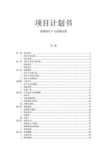 項目計劃書-米酒的生產與品牌運營