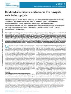nchembio.2238-Oxidized arachidonic and adrenic PEs navigate cells to ferroptosis
