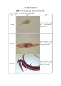 2016年寄生虫形态学检查室间质量评价