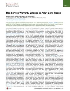 Developmental Cell-2016-Hox Service Warranty Extends to Adult Bone Repair