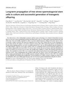 cr2016156a-Long-term propagation of tree shrew spermatogonial stem cells in culture and successful generation of transgenic offspring
