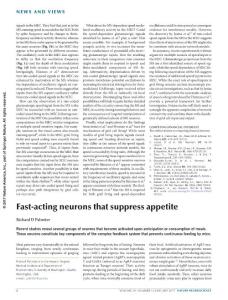 nn.4456-Fast-acting neurons that suppress appetite