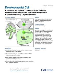 Developmental Cell-2016-Exosomal MicroRNA Transport from Salivary Mesenchyme Regulates Epithelial Progenitor Expansion during Organogenesis