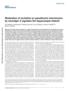 nn.4471-Modulation of excitation on parvalbumin interneurons by neuroligin-3 regulates the hippocampal network