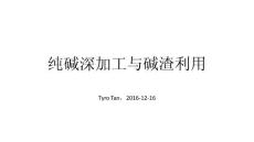 純堿深加工與堿渣利用建議書