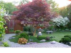 自然式小院景觀