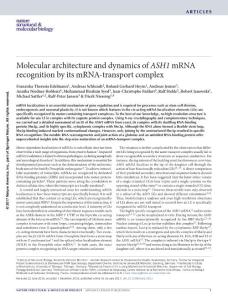 nsmb.3351-Molecular architecture and dynamics of ASH1 mRNA recognition by its mRNA-transport complex