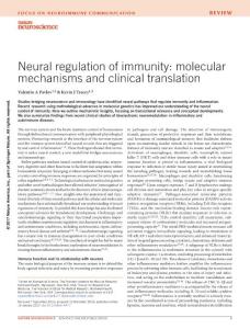 nn.4477-Neural regulation of immunity molecular mechanisms and clinical translation