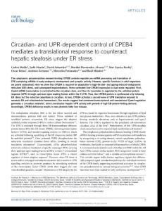 ncb3461-Circadian- and UPR-dependent control of CPEB4 mediates a translational response to counteract hepatic steatosis under ER stress
