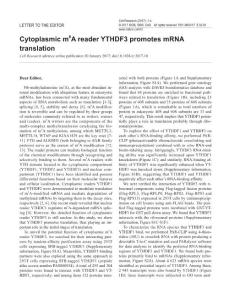 cr201710a-Cytoplasmic m6A reader YTHDF3 promotes mRNA translation