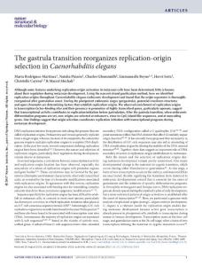 nsmb.3363-The gastrula transition reorganizes replication-origin selection in Caenorhabditis elegans