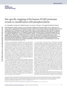 nsmb.3366-Site-specific mapping of the human SUMO proteome reveals co-modification with phosphorylation