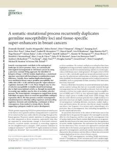 ng.3771-A somatic-mutational process recurrently duplicates germline susceptibility loci and tissue-specific super-enhancers in breast cancers
