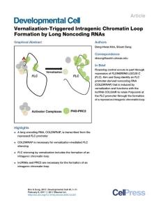 Developmental Cell-2017-Vernalization-Triggered Intragenic Chromatin Loop Formation by Long Noncoding RNAs