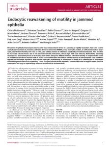 nmat4848-Endocytic reawakening of motility in jammed epithelia