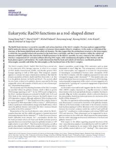 nsmb.3369-Eukaryotic Rad50 functions as a rod-shaped dimer