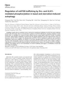 cr2016146a-Regulation of mATG9 trafficking by Src- and ULK1-mediated phosphorylation in basal and starvation-induced autophagy