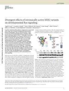 ng.3780-Divergent effects of intrinsically active MEK variants on developmental Ras signaling