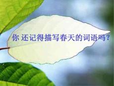 2、春雨的色彩