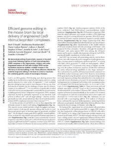 nbt.3806-Efficient genome editing in the mouse brain by local delivery of engineered Cas9 ribonucleoprotein complexes