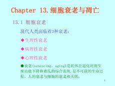 第13章 细胞衰老与凋亡