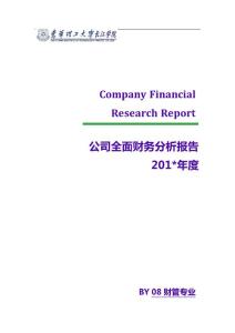 公司全面财务分析报告经典模板
