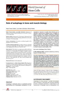 Role of autophagy in bone and muscle biology