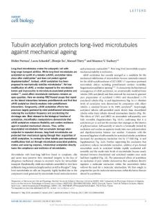 ncb3481-Tubulin acetylation protects long-lived microtubules against mechanical ageing