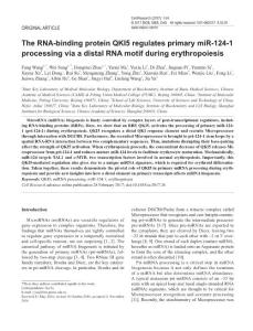 cr201726a-The RNA-binding protein QKI5 regulates primary miR-124-1 processing via a distal RNA motif during erythropoiesis
