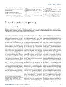 ncb3480-G1 cyclins protect pluripotency