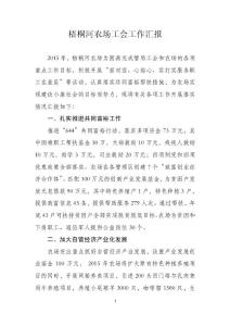 梧桐河农场工会2015年度工作总结