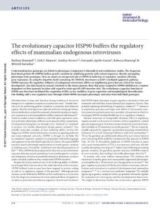 nsmb.3368-The evolutionary capacitor HSP90 buffers the regulatory effects of mammalian endogenous retroviruses