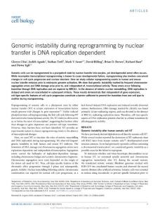 ncb3485-Genomic instability during reprogramming by nuclear transfer is DNA replication dependent