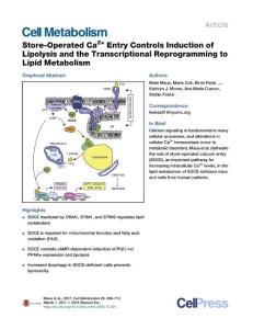 Cell Metabolism-2017-Store-Operated Ca2+ Entry Controls Induction of Lipolysis and the Transcriptional Reprogramming to Lipid Metabolism