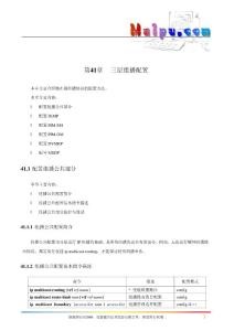 第41章 三層組播配置
