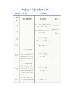 專業(yè)技術(shù)崗位等級(jí)條件表