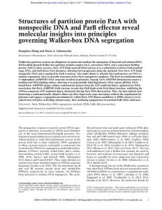 Genes Dev.-2017-Zhang-Structures of partition protein ParA with nonspecific DNA and ParB effector reveal molecular insights into principles governing Walker-box DNA segregation