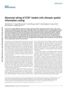nn.4544-Abnormal wiring of CCK+ basket cells disrupts spatial information coding
