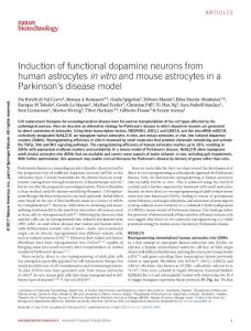 nbt.3835-Induction of functional dopamine neurons from human astrocytes in vitro and mouse astrocytes in a Parkinson´s disease model