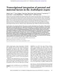 Genes Dev.-2017-Ueda-617-27-Transcriptional integration of paternal and maternal factors in the Arabidopsis zygote