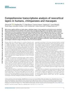 nn.4548-Comprehensive transcriptome analysis of neocortical layers in humans, chimpanzees and macaques
