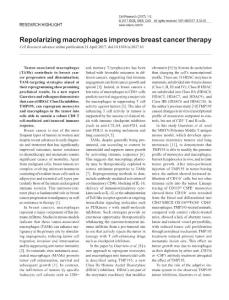 cr201763a-Repolarizing macrophages improves breast cancer therapy