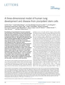 ncb3510-A three-dimensional model of human lung development and disease from pluripotent stem cells
