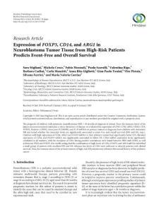 FOXP3 CD14,andARG1 in Neuroblastoma Tumor Tissue from High…